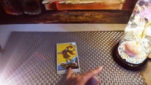 Значение аркана " шут" в повседневной жизни