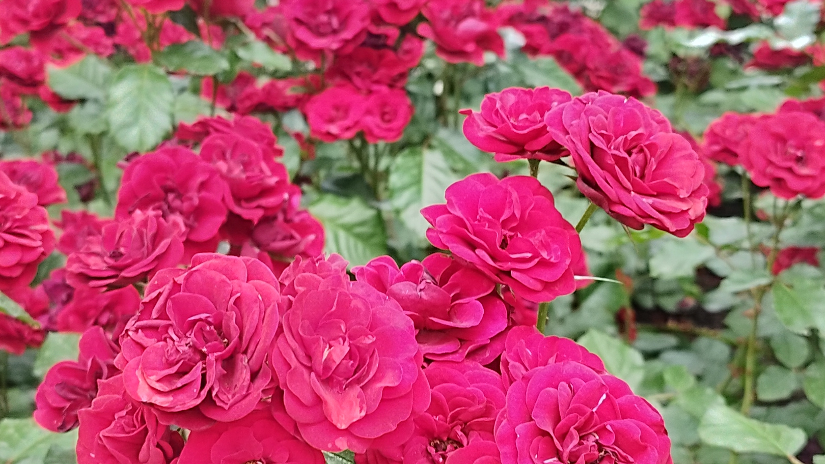 СОВЕТ ОТ ТАРО МАНАРА