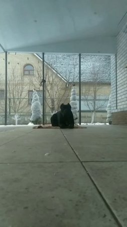Оскар