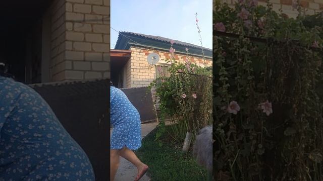 1000180941.mp4. Пуховые изделия у Ольги .т.89020931602 смотреть онлайн