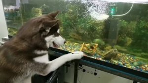 Бруня на рыбалке