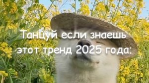 Тренды