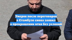 Умеров после переговоров в Стамбуле снова заявил о прекращении огня без условий