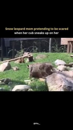 1000065662.mp4
