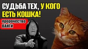 Кошка в доме — это не случайность  Пророчество Ванги, о кошках.