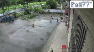 Грузовик чудом не раздавил мотоциклиста