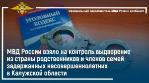 МВД России взяло на контроль выдворение из страны родственников и членов семей задержанных