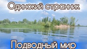 Одинокий странник. Подводный мир. Один в поле Воин. Волга.