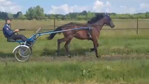 Сократес "Ч" (ж) 15.05.2024 г. (Money Macintosh - Самдория "Ч")