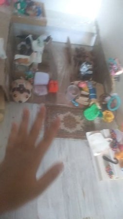 VID_20250724_143611.mp4