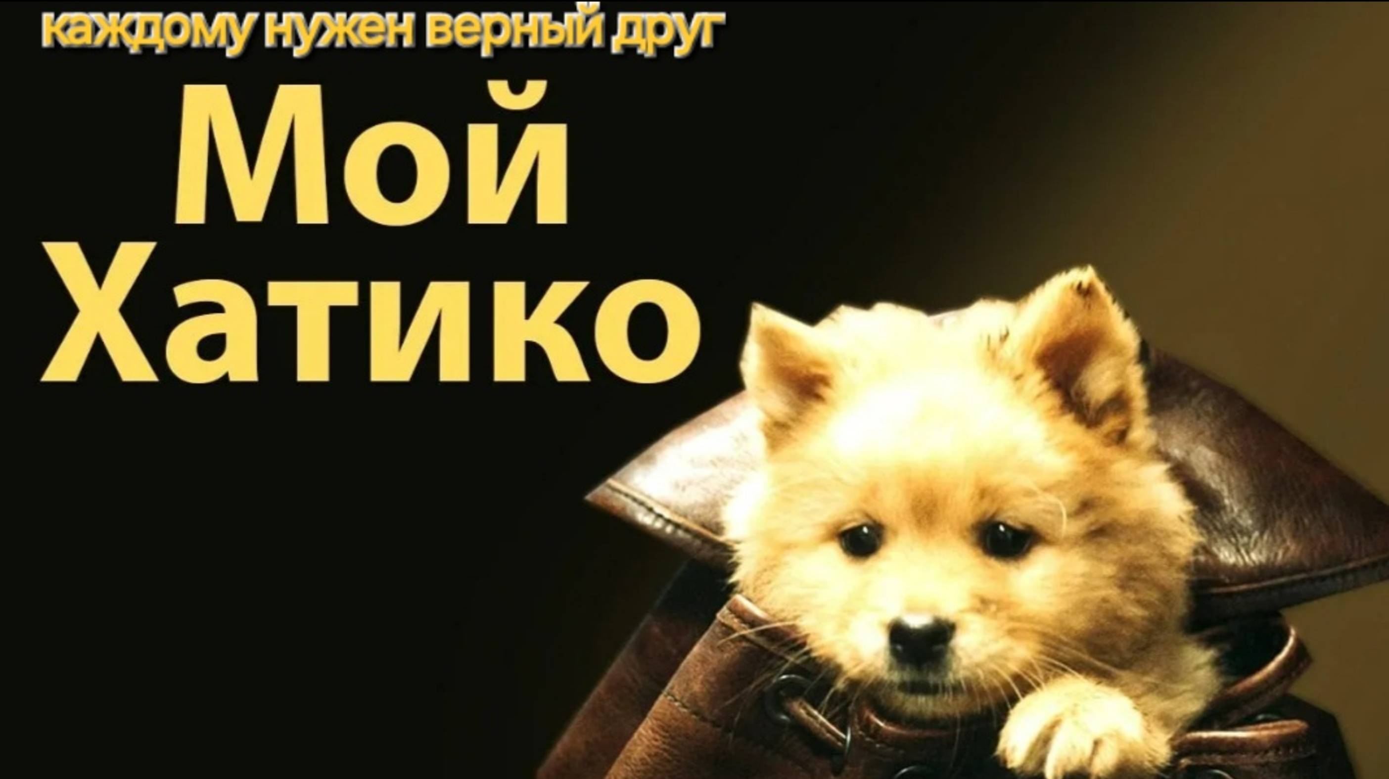 Мне нравится этот щенок. Фильм "Мой Хатико". смотреть онлайн