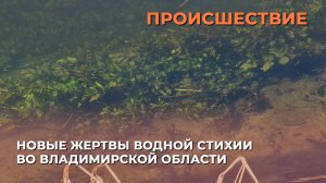 Новые жертвы водной стихии во Владимирской области