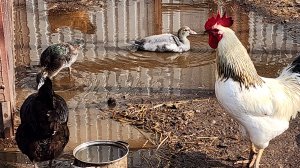 Вчера-сегодня