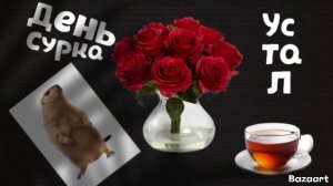 День сурка 🦫