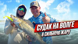 Судак на Волге|Лучшие приманки|Особенности поиска|Эффективные проводки