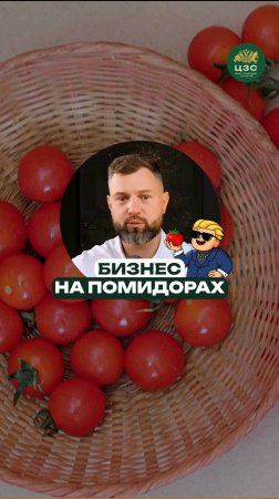 Почему все выращивают черри в теплицах?
