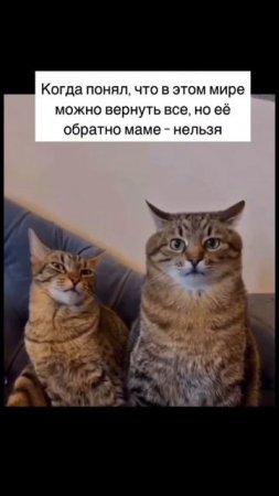 😁😁😁