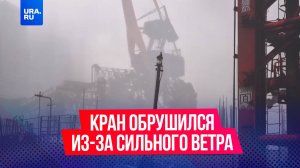 Кран обрушился из-за сильнейшего ветра в порту в Волгоградской области