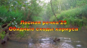 Лесная речка'25. Обидные сходы хариуса