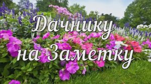 Дачнику на Заметку. Полезные Советы