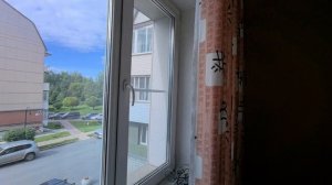 ЗЕЛЁНЫЙ БОР