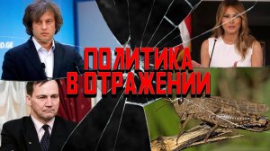 Политика в отражении: Запорожье отойдет саранче, дикпик солидарности, немцы слили Туска