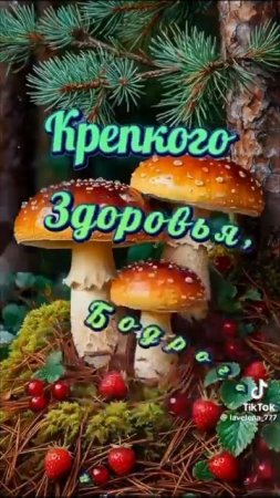 video_9339688716861.mp4