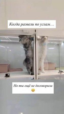 ))))))