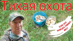 Тихая охота. Разведка грибных мест. Начало грибного сезона. Июль 2025.