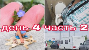 24-07-2025 У НАС ТАКОГО ЕЩЕ НЕ БЫЛО * ДЕНЬ 4 ЧАСТЬ 2