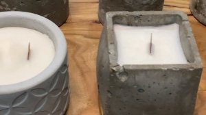 дерево и бетон