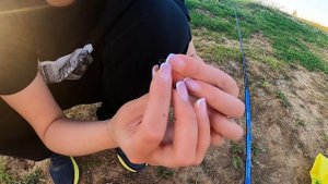 Прогулка семьи Шубиных к реке Сысола