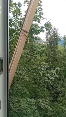 Вот так мимо кухонного окна летают доски, железяки, мусор