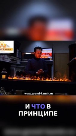 Паровой камин vs Биокамин  Что выбрать для дома   #купитькамин #купитькамин