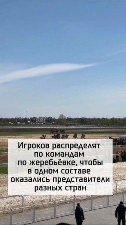 Кокпара на Играх кочевников в Кыргызстане не будет