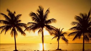 Chillout Deep House ~ Beach Mix