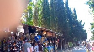 Крым. Судак. Кипарисовая аллея 24.07 2025 г.