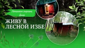 Живу в лесной избе - заготовка бревен для бани \ Вкусный ужин на костре