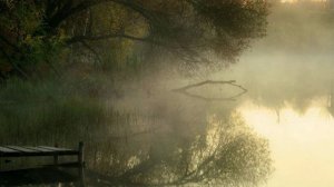 Туманом укрывается река (1)