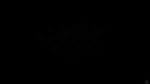 Rainforest & Thunder Sounds for Sleeping | Black Screen