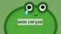 моя лягушка 🐸