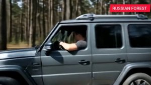 РУССКИЙ ЛЕС