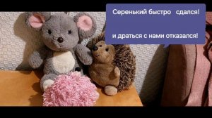 из жизни отдыхающих