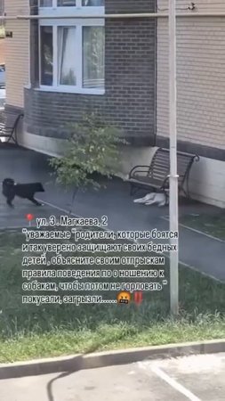 В Дагестане местные жители возмутились поведению детей, которые специально провоцировали уличных ...