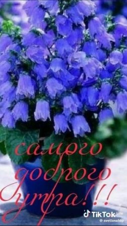 Доброе утро