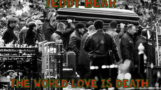 Teddy Bear - Blizzard