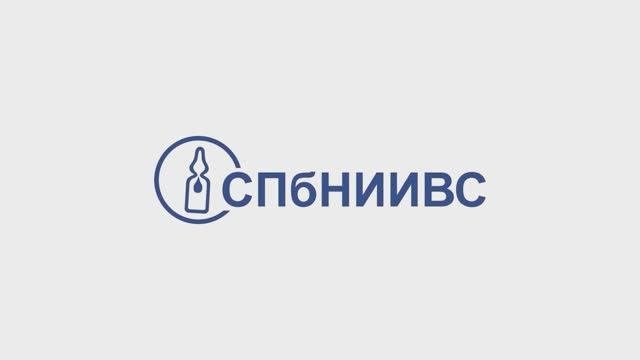 Стажировка в СПбНИИВС