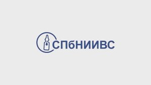 Стажировка в СПбНИИВС
