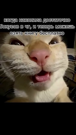 #книги #книжныйблог #книжныерекомендации #book #booktok #bookrecommendations