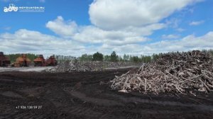 Тонны древесины   Куда девать это все?
